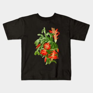 Christmas Cactus - Epiphyllum Truncatum - Botanical Illustration Kids T-Shirt